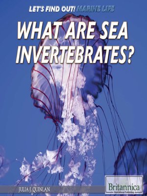 cover image of What Are Sea Invertebrates?